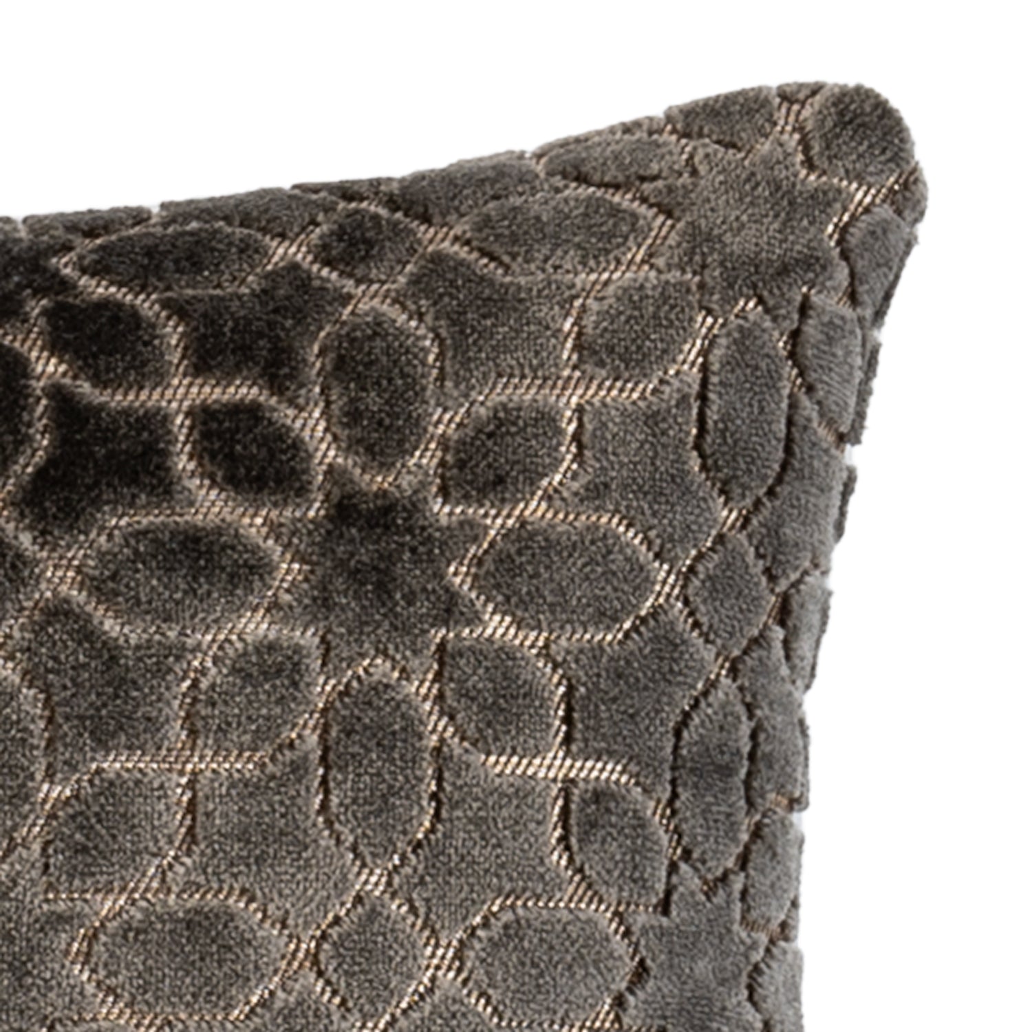 Plush Slate Throw Pillow