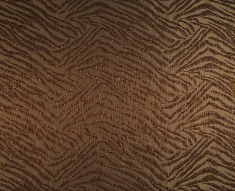 Equator Zebra