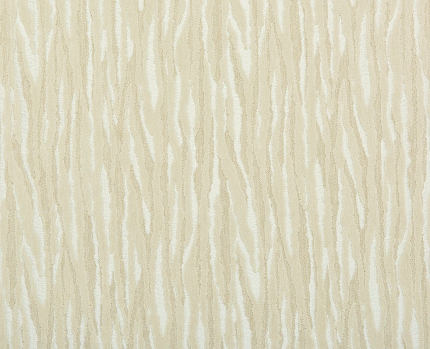 Beige cebra