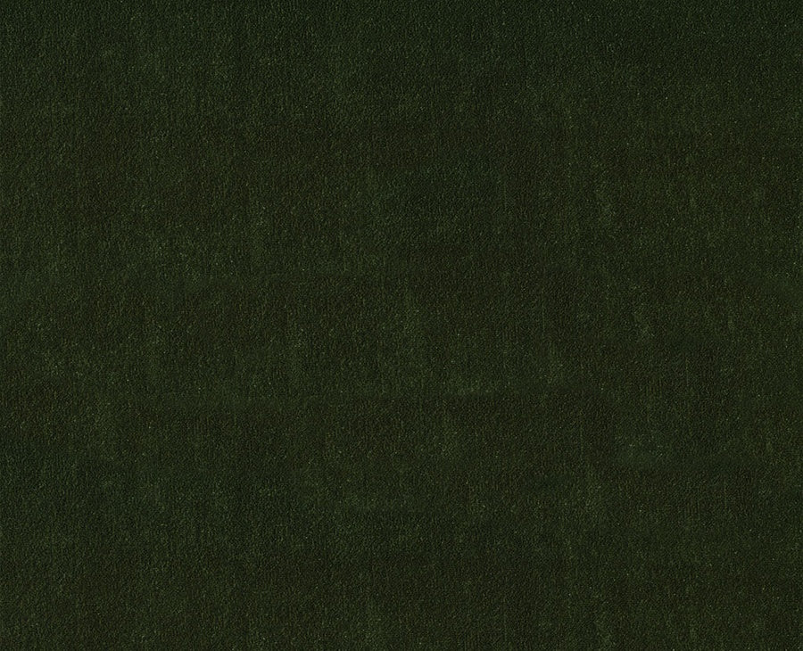 Vivid Verte
