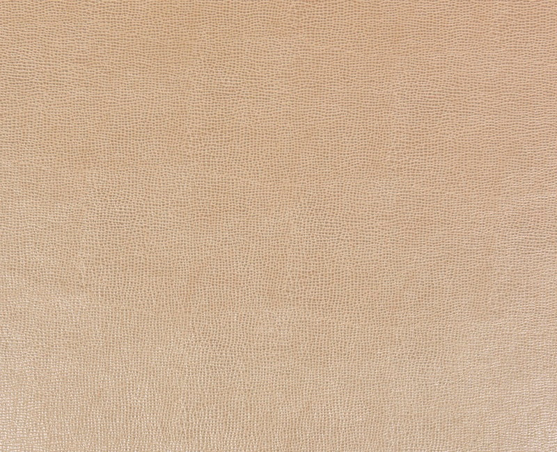 Guadalajara Ivory