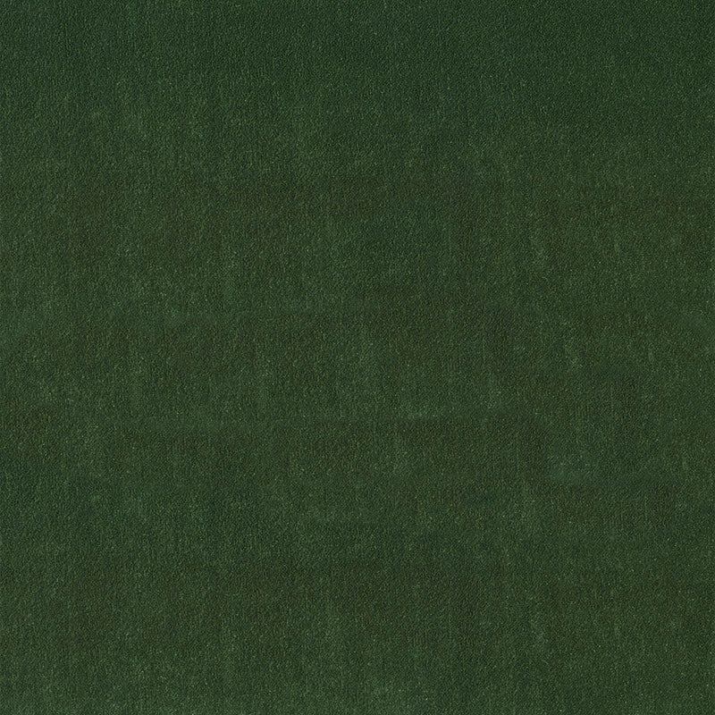 Vivid Verte