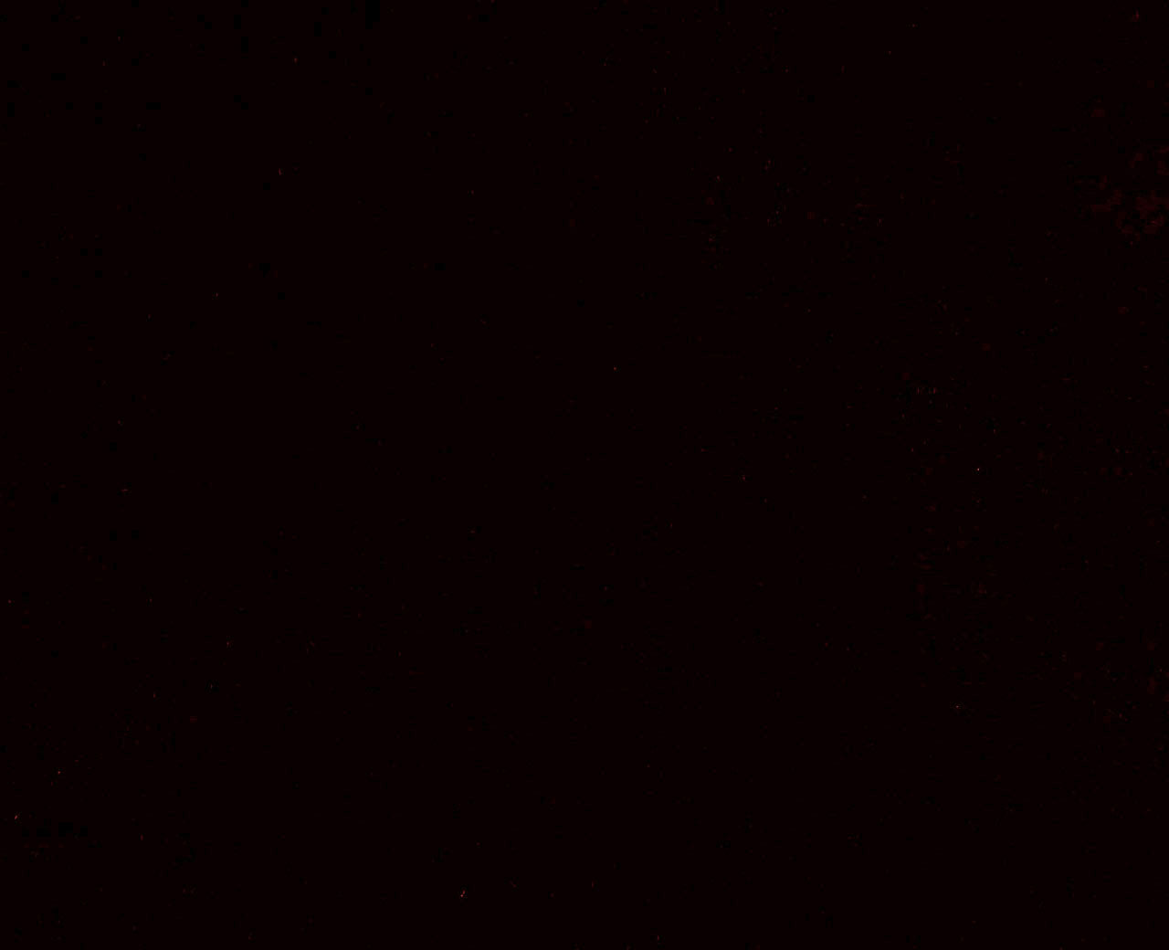 شارون ميرلوت