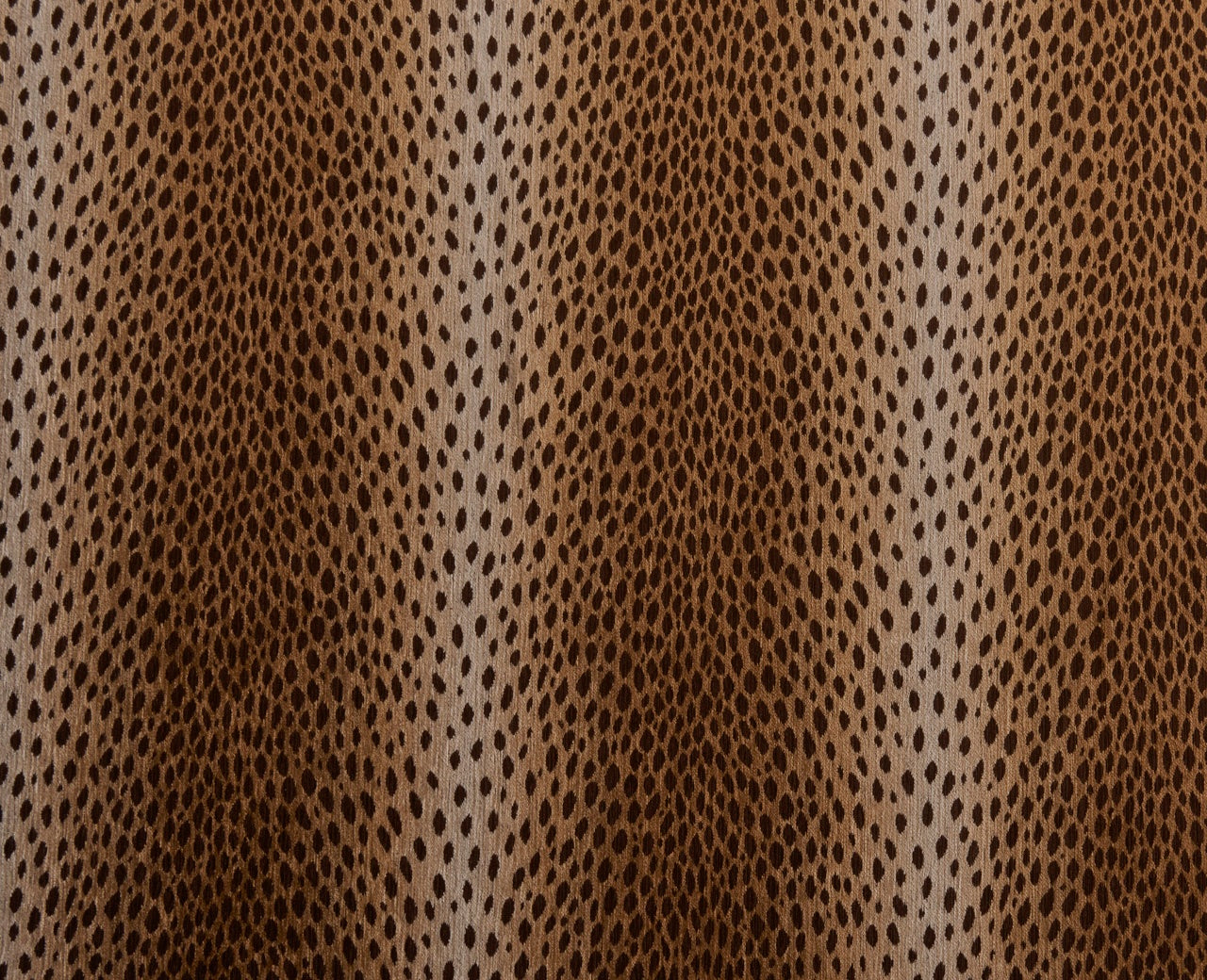 Velveteen Cheetah